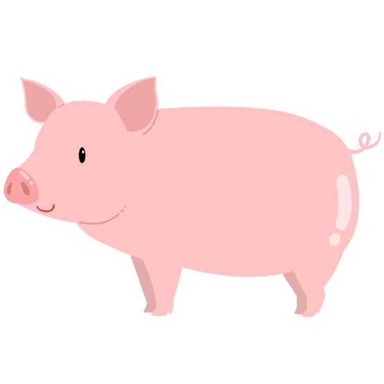 豚の二次元画像