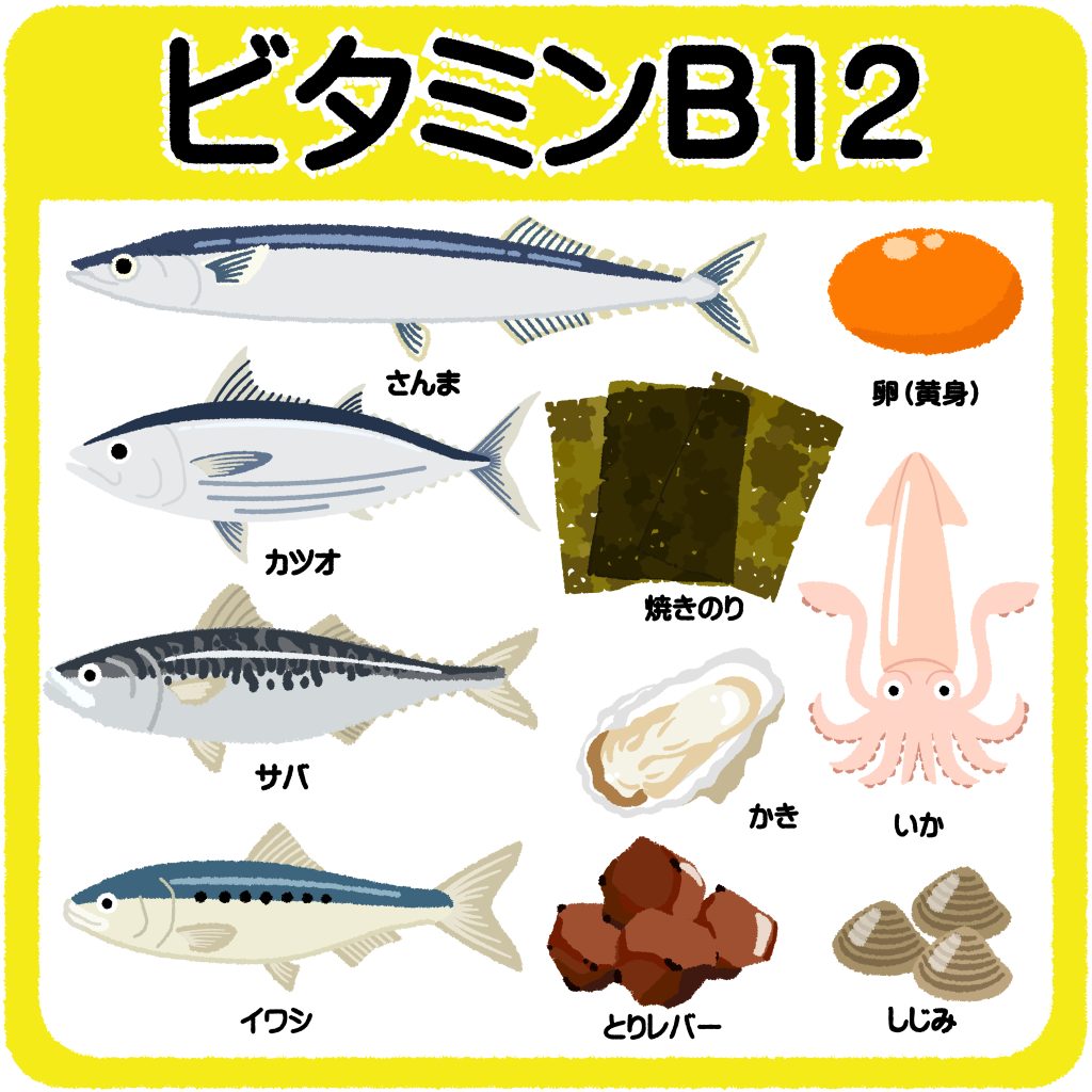 ビタミンB12