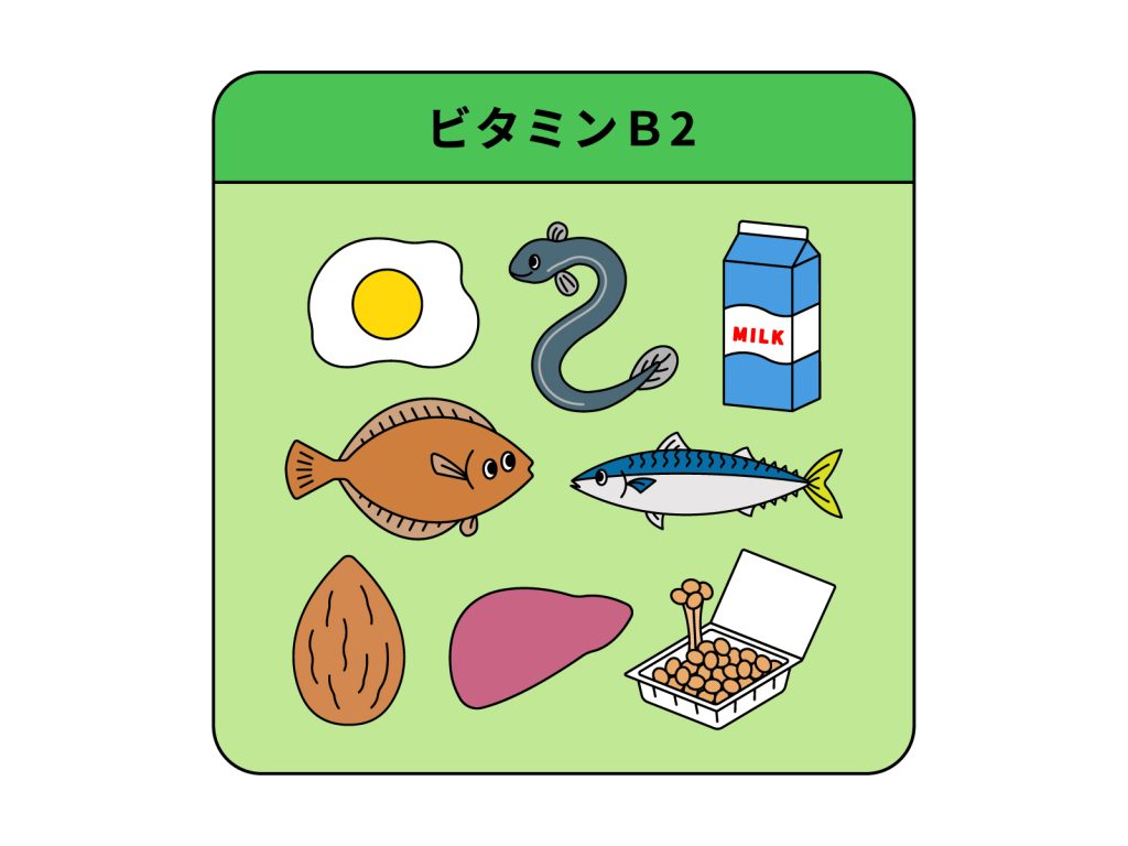 ビタミンB2