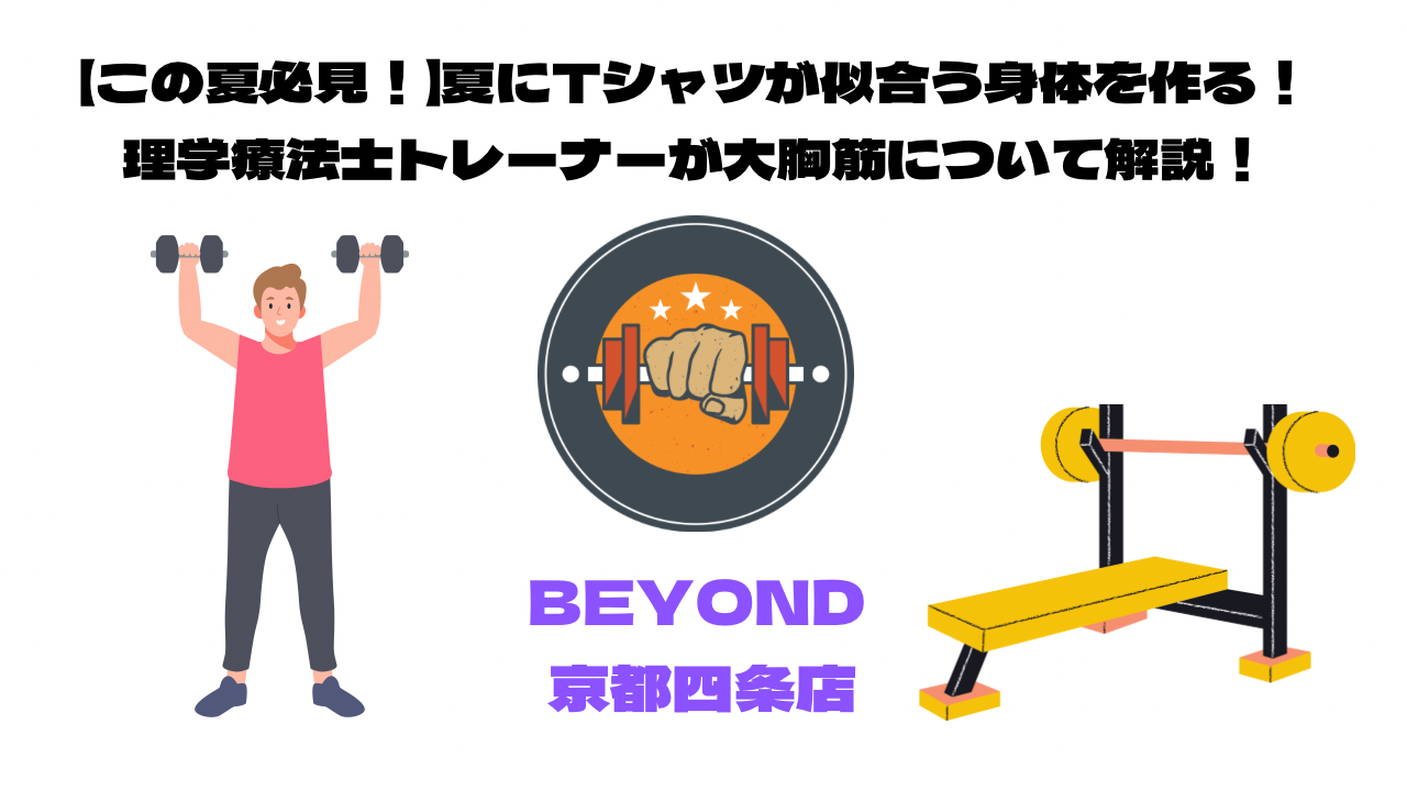 【この夏必見！】夏にTシャツが似合う身体を作る！理学療法士トレーナーが大胸筋について解説！