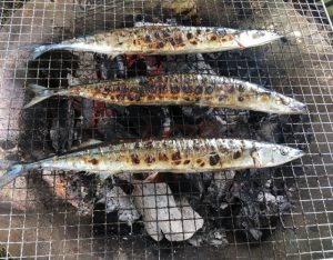 食欲の秋！旬の魚を食べて、来夏に向けてダイエット！
