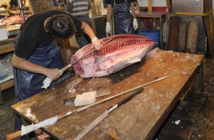 食欲の秋！旬の魚を食べて、来夏に向けてダイエット！
